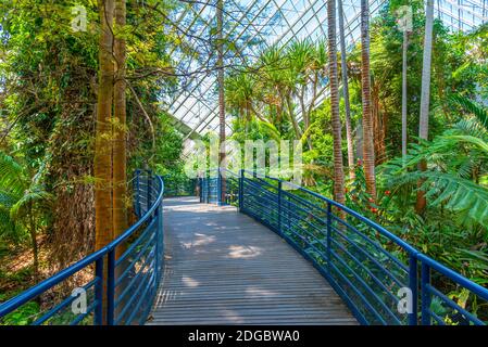 Bicentennial Conservatory at Botanic garden in Adelaide, Australia Stock Photo