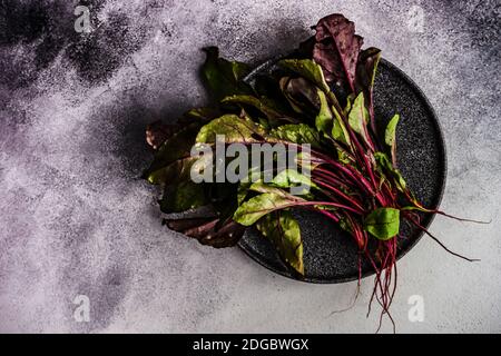 Fresh beetroot leaves on a black plate Stock Photo