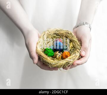 Wicker nest of straw filled with colorful eggs in female hands over white background Stock Photo