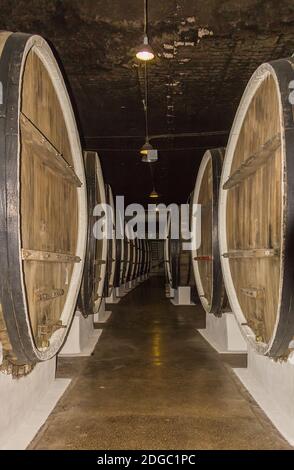 Corridor warehouse row of large wooden barrels of wine storage whiskey in the basement Stock Photo