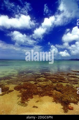 Yonehara Beach, Low Tide, Ishigaki, Yahema Islands, Ryukyu Islands, Okinawa, Japan