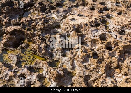Texture of a weathered stone canvas with craters and natural salt natural background Stock Photo