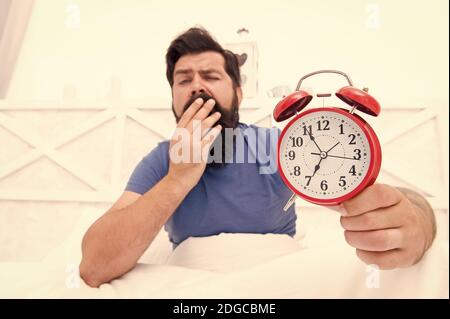 Wake up early every morning. Health benefits of rising early. Waking up early gives more time to prepare and be timely. Hipster bearded man in bed with alarm clock. Time to wake up. Healthy habits. Stock Photo