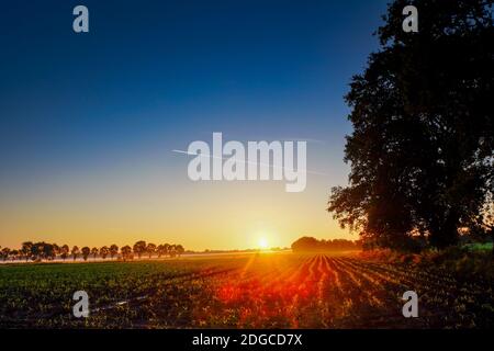 Colorful glowing sunrise Stock Photo