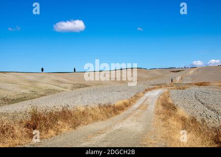 At San Quirico d'Orcia - Italy - On august 2020 - landscape of Val d'Orcia in summer, Tuscany Stock Photo