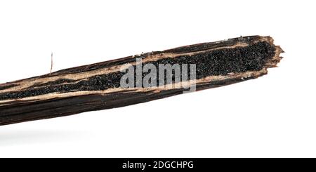 Vanilla pod cut with knife, seeds and small crystals of pure vanillin visible, closeup detail photo isolated on white background Stock Photo