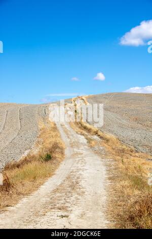 At San Quirico d'Orcia - Italy - On august 2020 - landscape of Val d'Orcia in summer, Tuscany Stock Photo