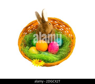 Brown plush soft rabbit in a wicker basket on a green straw surrounded by colorful eggs on a white b Stock Photo