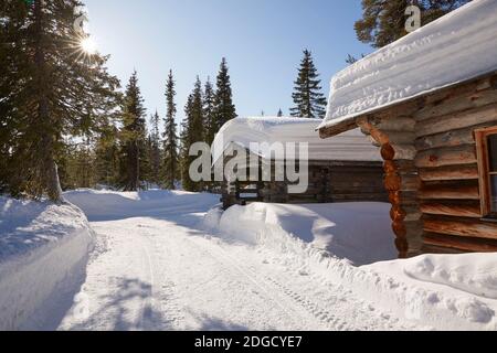 Snowy Log Cabin in the Sun in Lapland Stock Photo