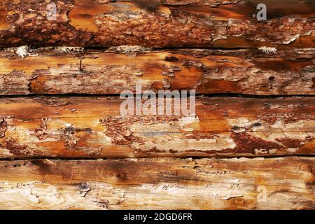 Old textures wooden peeled board with nails Stock Photo