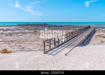 Wooden boardwalk at Hamelin pool used for view at stromatolites, Australia