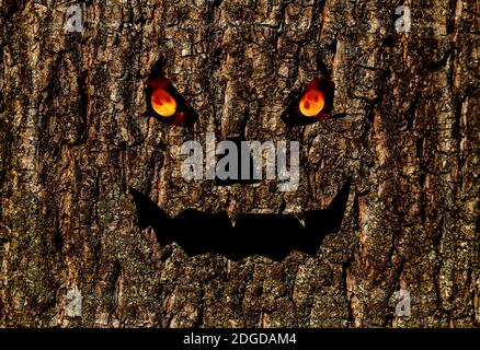 Scary face burning eyes, halloween background lantern jack on bark, animated monster Stock Photo