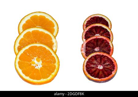 orange cut in circles isolated on white background, close up Stock Photo