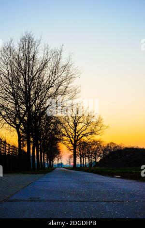 Country Road between the trees and fields Stock Photo