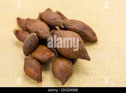 Many delicious fruits of snake in the textile yellow background close-up heap of brown fruit Asiana Stock Photo