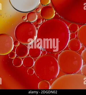 Abstract macro image of colorful oil drop circles in water. Stock Photo