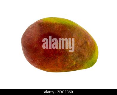 Large ripe mango fruit red with green sideways on a white background Stock Photo