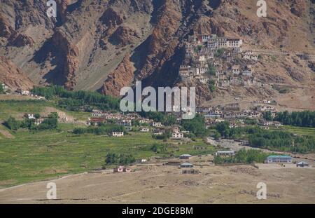 Karsha monastery hugging the mountain with irrigated fields below. Near Padum Zanskar Valley, Ladakh, Jammu and Kashmir, northern India Stock Photo
