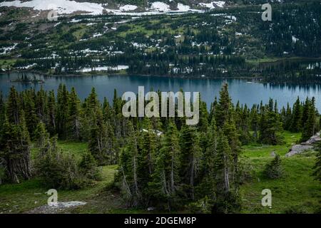 Lush Green Forest And Hidden Lake in early summer in Glacier National Park Stock Photo