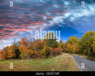 Panoramic view of foliage in New England. Road and trees on a beautiful autumn day