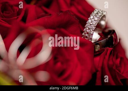 Wedding rings on red roses background Stock Photo