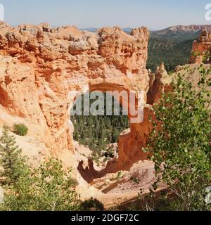 Bryce   national  park the beauty of nature Stock Photo