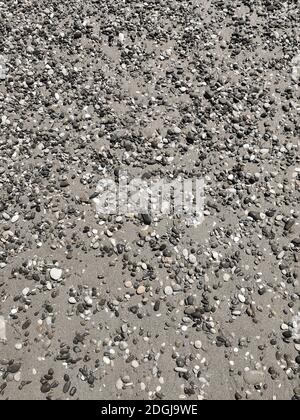 Background image: small sea pebbles on the beach Stock Photo