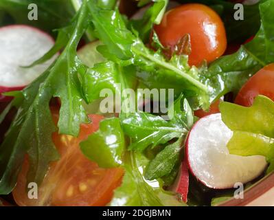 Salad of fresh vegetables and herbs on the table. Stock Photo