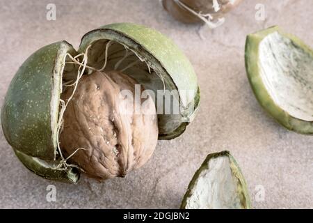 Walnuts in a green shell on the table Stock Photo