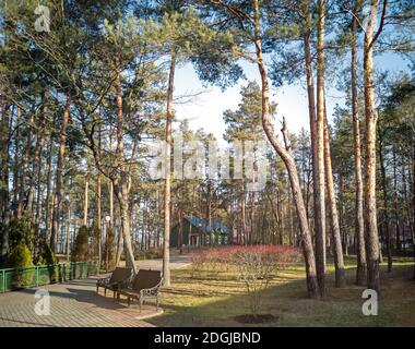 Autumn landscape: late autumn in the Park. Stock Photo