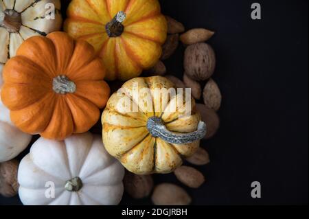 Collection of little mini Pumpkins on black background Stock Photo