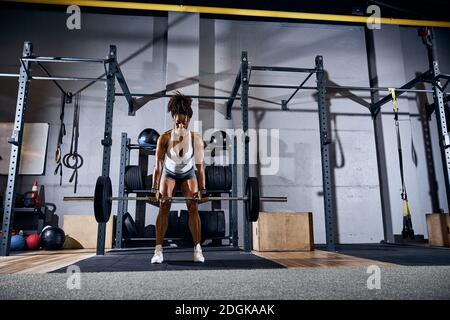 Fit dark-haired woman performing a weight-lifting exercise Stock Photo