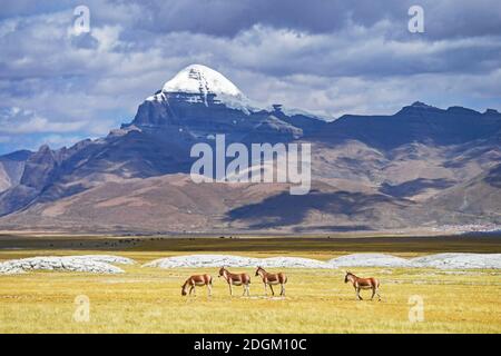 The south of Mount Gang Rinpoche is the Lhanag-tso Ghost Lake and a large grassland. The northern side of Mount Gang Rinpoche is like a towering pyram Stock Photo