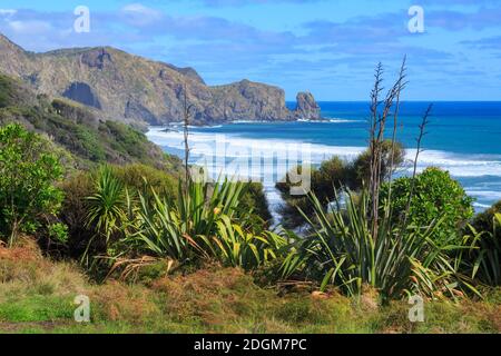 Rugged and beautiful coastline near Bethells Beach in the Auckland Region, New Zealand Stock Photo