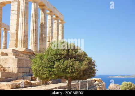 The Poseidon Temple with an olive tree at Cape Sounion Stock Photo - Alamy