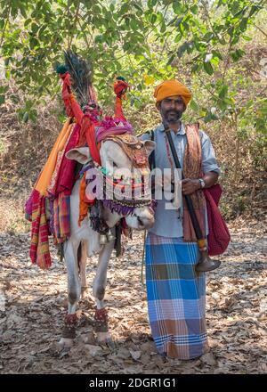 PALOLEM, GOA, INDIA - MARCH 19, 2018: Indian man in national clothes stands together with a cow decorated for the holiday in Palolem, Goa, India Stock Photo