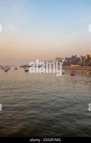 Tourist boats, in early morning low light, on Mumbai Harbour, next to Gateway of India, Mumbai, India Stock Photo