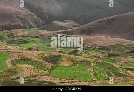 A mountain road winding through green fields and barren hills in the Himalayan village of Kibber in the  Spiti valley. Stock Photo