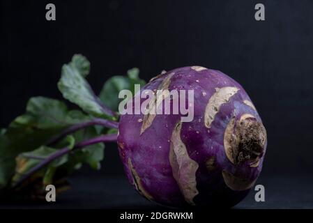 One purple kohlrabi on a black background Still life Dark food photography Stock Photo