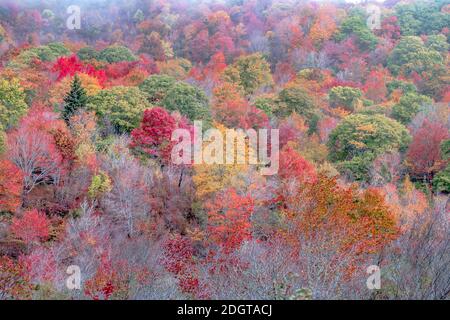 Autumn in the Appalachian Mountains Viewed Along the Blue Ridge Parkwa Stock Photo