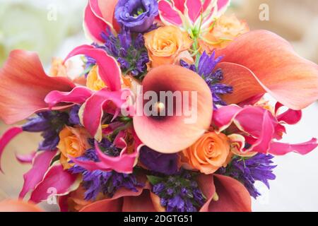 Close up of colorful flower mix Stock Photo