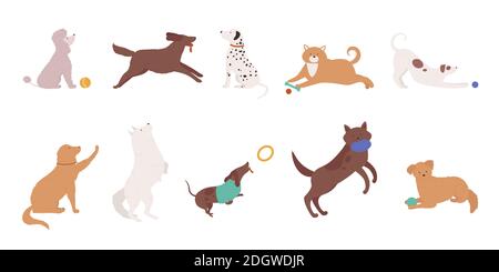 Dogs pets play vector illustration set. Cartoon cute various doggy characters collection of funny dog animal playing with ball, training human commands, puppy running and jumping isolated on white Stock Vector