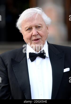 Sir David Attenborough attending the global premiere of Netflix's Our Planet, held at the Natural History Museum, London Stock Photo
