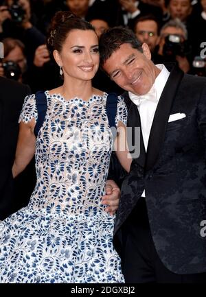 Penelope Cruz and Antonio Banderas attending the Pain and Glory premiere, held at the Grand Theatre Lumiere during the 72nd Cannes Film Festival Stock Photo