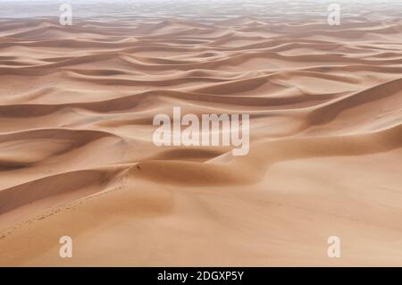 In the Sahara Desert, sand dunes to the horizon, Morocco, Africa. Stock Photo