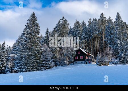 Wundervolle Winterlandschaft im Vorarlberg, snowy landscape in Austria, snowy forest in Christmas time, winter wonderland in the alps, sunny day, hope