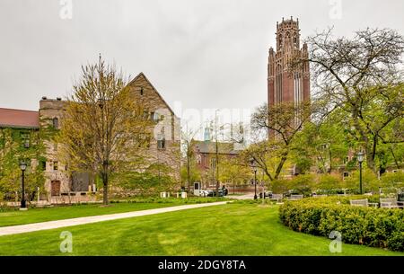 Square of Chicago University campus with view of Saieh Hall for Economics tower, Illinois, USA Stock Photo