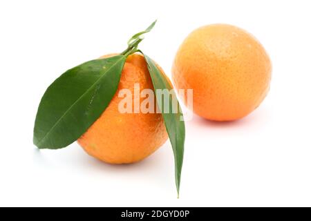 Isolated tangerine. One fresh tangerine or orange fruit isolated on white background with clipping path Stock Photo
