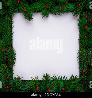Creative layout made of Christmas tree branches with paper card note. Flat lay. Nature New Year concept. Stock Photo