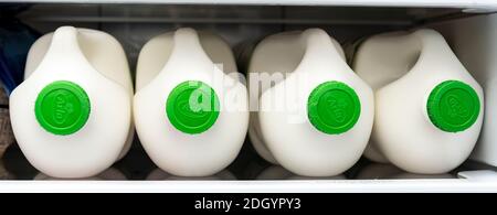 four 2 litre plastic bottles of ARLA milk on a domestic refrigerator shelf Stock Photo